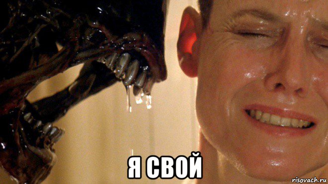  я свой