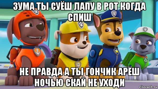 зума ты суёш лапу в рот когда спиш не правда а ты гончик арёш ночью скай не уходи