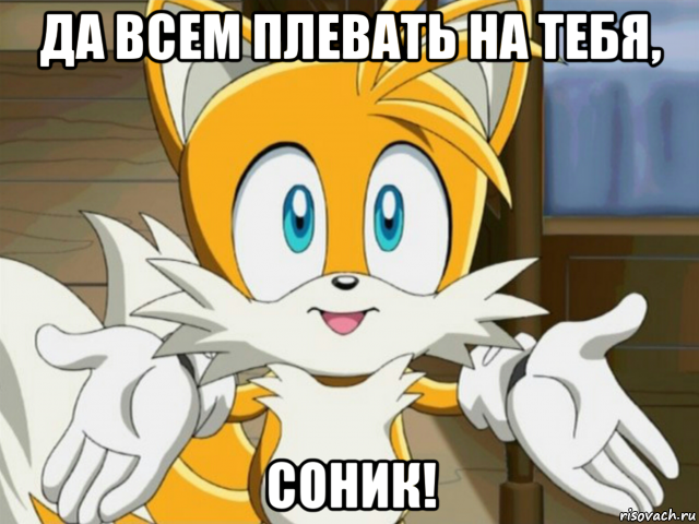 да всем плевать на тебя, соник!, Мем Да всем насрать