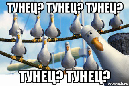 тунец? тунец? тунец? тунец? тунец?