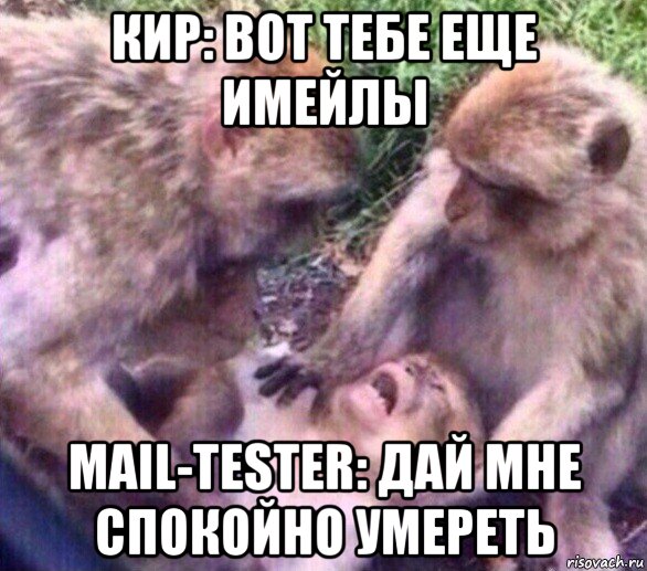 кир: вот тебе еще имейлы mail-tester: дай мне спокойно умереть