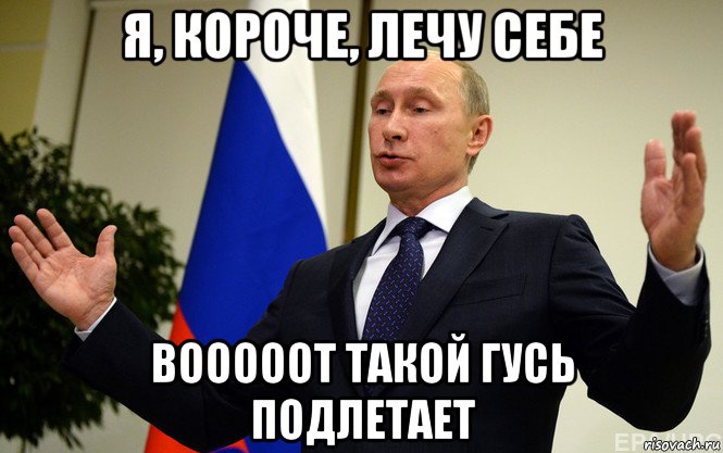 я, короче, лечу себе вооооот такой гусь подлетает