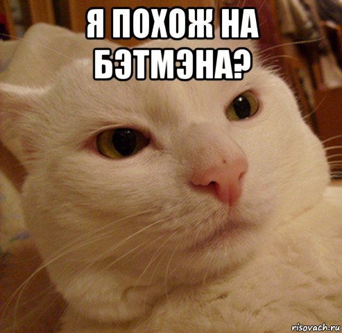 я похож на бэтмэна? , Мем Дерзкий котэ