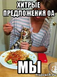 хитрые предложения оа мы, Мем Девушка кормит кота