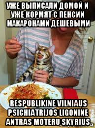 уже выписали домой и уже кормят с пенсии макаронами дешевыми respublikine vilniaus psichiatrijos ligonine antras moteru skyrius, Мем Девушка кормит кота