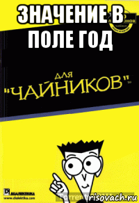 значение в поле год 