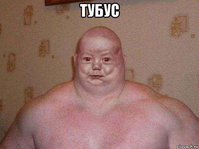 тубус , Мем Дылда
