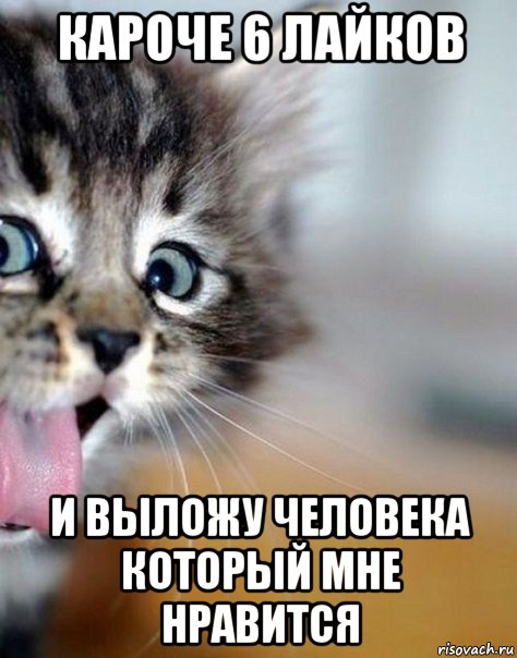 кароче 6 лайков и выложу человека который мне нравится