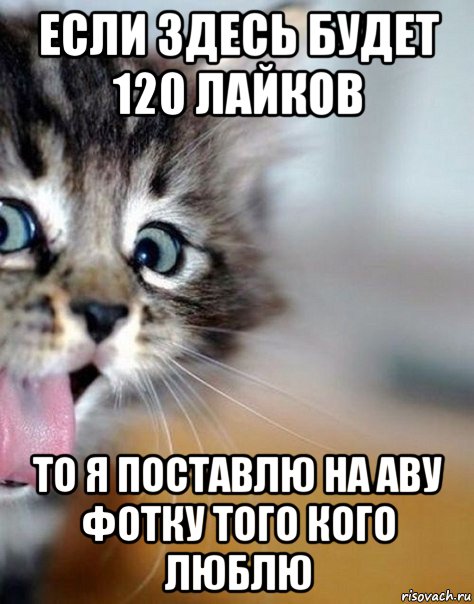 если здесь будет 120 лайков то я поставлю на аву фотку того кого люблю