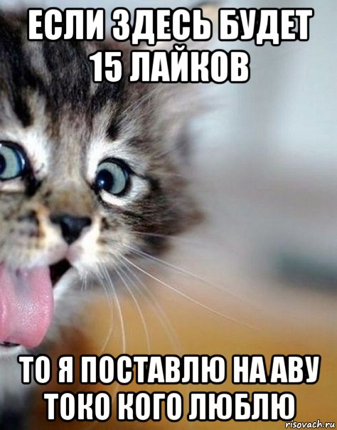если здесь будет 15 лайков то я поставлю на аву токо кого люблю