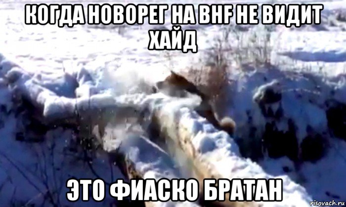 когда новорег на bhf не видит хайд это фиаско братан