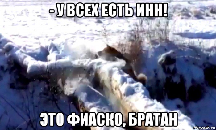 - у всех есть инн! это фиаско, братан