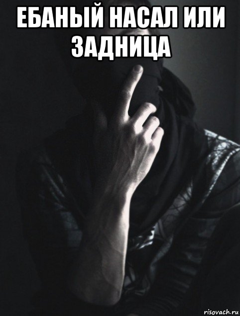 ебаный насал или задница 