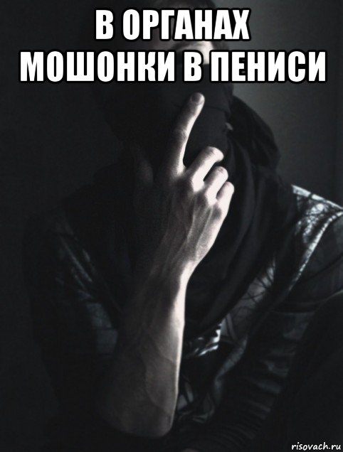 в органах мошонки в пениси 
