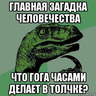 главная загадка человечества что гога часами делает в толчке?, Мем Филосораптор