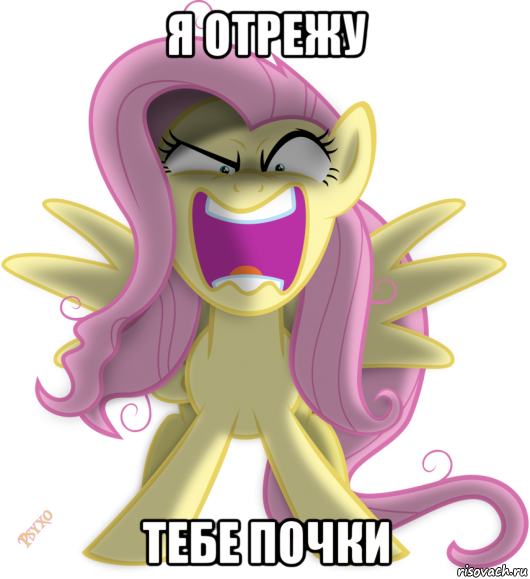 я отрежу тебе почки