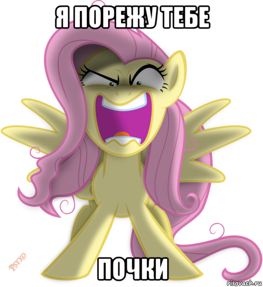 я порежу тебе почки