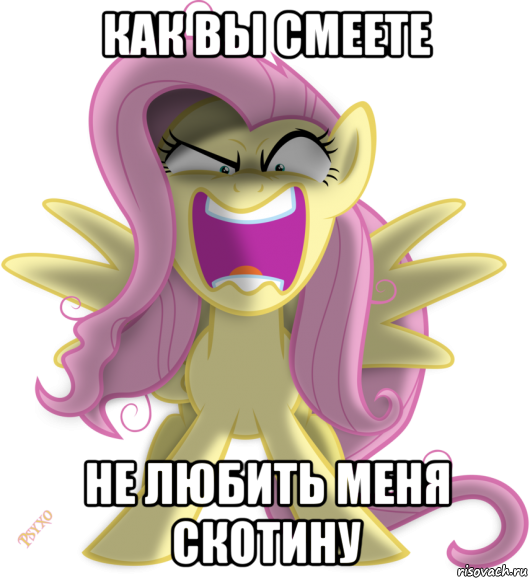 как вы смеете не любить меня скотину