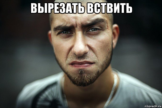 вырезать вствить 
