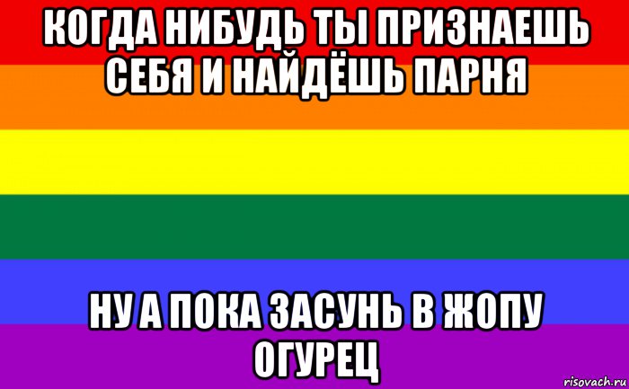 когда нибудь ты признаешь себя и найдёшь парня ну а пока засунь в жопу огурец, Мем Гей-флаг