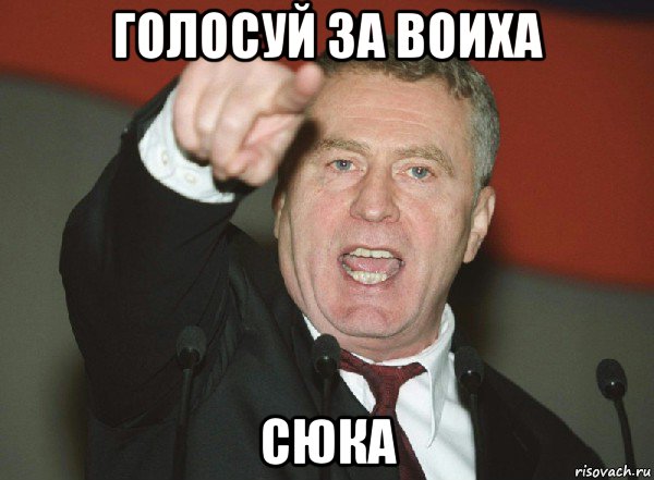 голосуй за воиха сюка
