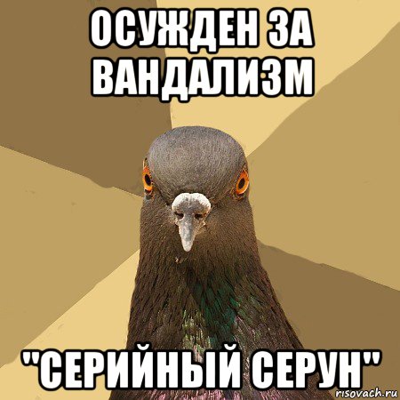 осужден за вандализм "серийный серун", Мем голубь