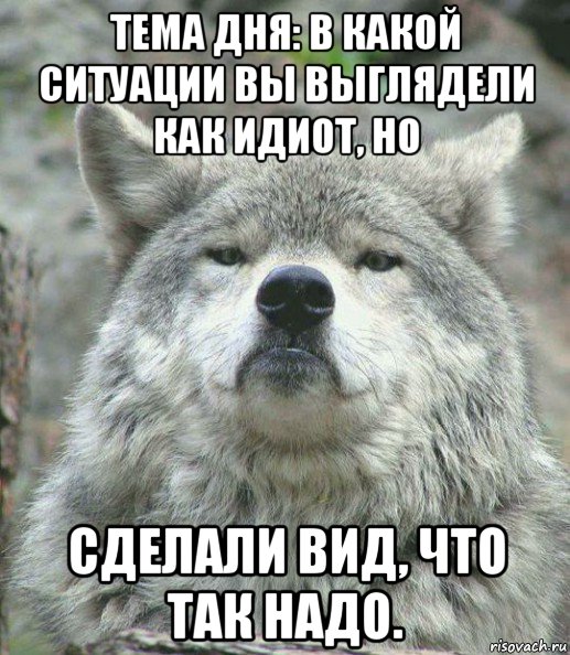 тема дня: в какой ситуации вы выглядели как идиот, но сделали вид, что так надо., Мем    Гордый волк