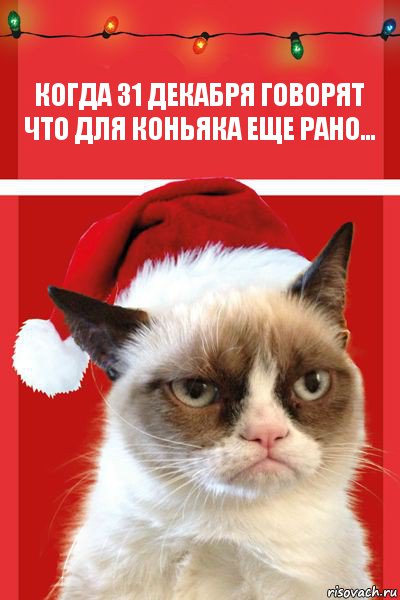 Когда 31 декабря говорят что для коньяка еще рано..., Комикс  Grumpy cat new year