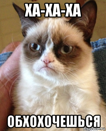 ха-ха-ха обхохочешься, Мем Grumpy Cat small