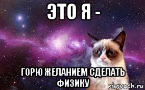 это я - горю желанием сделать физику, Мем grumpy cat space