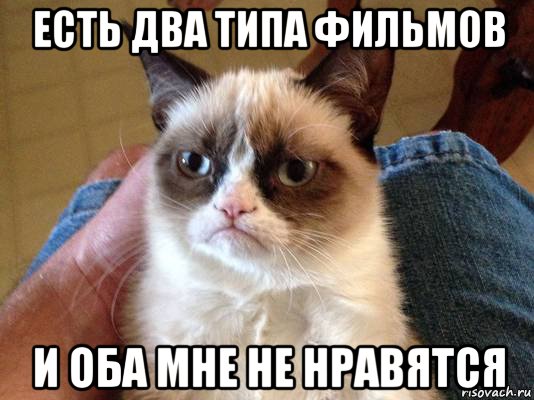 есть два типа фильмов и оба мне не нравятся, Мем grumpy