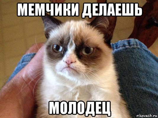 мемчики делаешь молодец, Мем grumpy