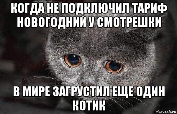 когда не подключил тариф новогодний у смотрешки в мире загрустил еще один котик, Мем  Грустный кот