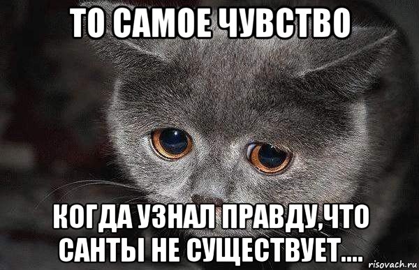 то самое чувство когда узнал правду,что санты не существует...., Мем  Грустный кот