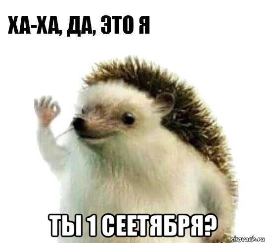  ты 1 сеетября?, Мем Ха-ха да это я