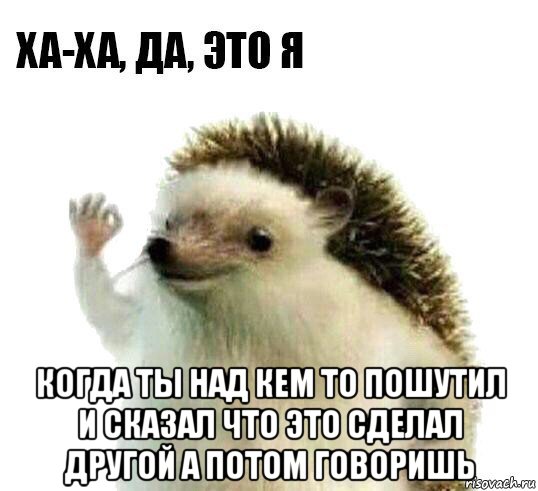  когда ты над кем то пошутил и сказал что это сделал другой а потом говоришь, Мем Ха-ха да это я