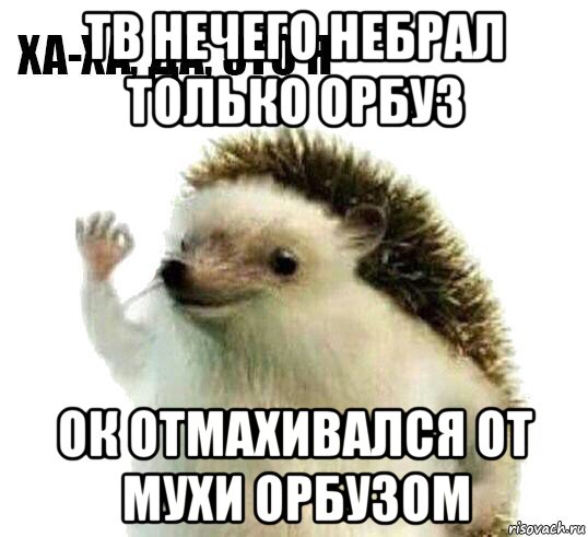 тв нечего небрал только орбуз ок отмахивался от мухи орбузом, Мем Ха-ха да это я