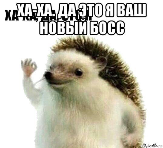 ха-ха. да это я ваш новый босс , Мем Ха-ха да это я