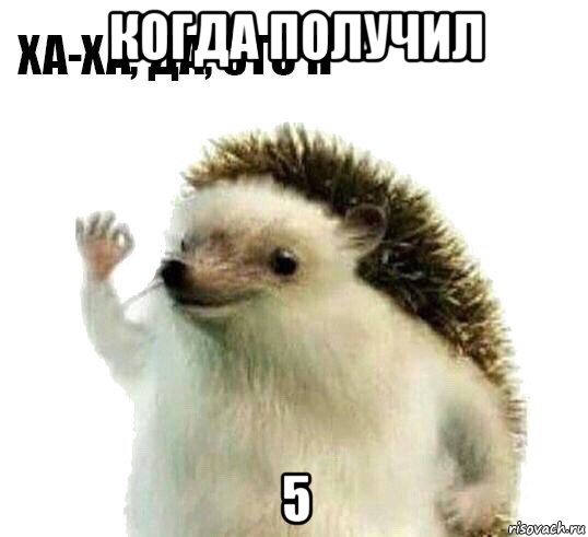 когда получил 5, Мем Ха-ха да это я