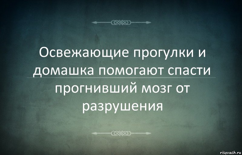 Освежающие прогулки и домашка помогают спасти прогнивший мозг от разрушения