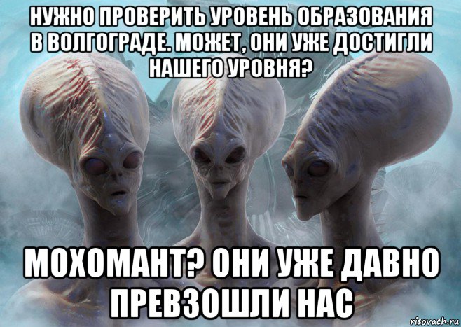 нужно проверить уровень образования в волгограде. может, они уже достигли нашего уровня? мохомант? они уже давно превзошли нас