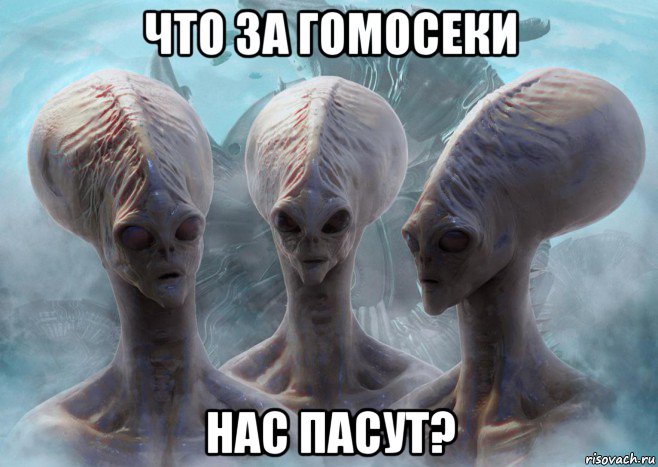 что за гомосеки нас пасут?