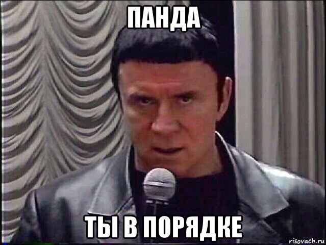 панда ты в порядке