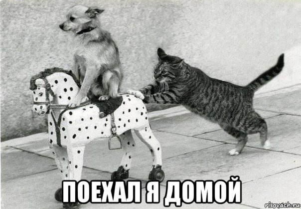  поехал я домой, Мем Катись к хуям