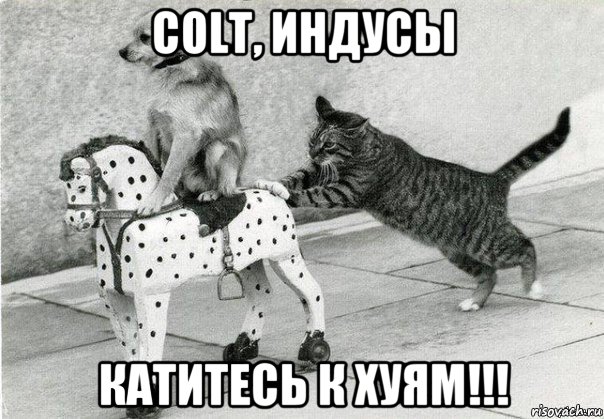 colt, индусы катитесь к хуям!!!, Мем Катись к хуям