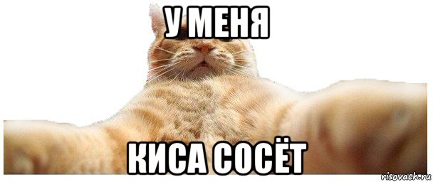 у меня киса сосёт, Мем   Кэтсвилл