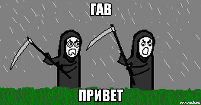 гав привет
