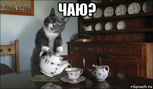 чаю? 