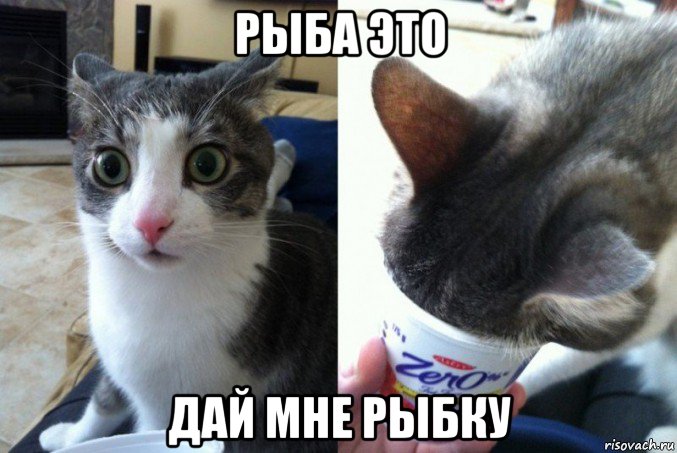 рыба это дай мне рыбку