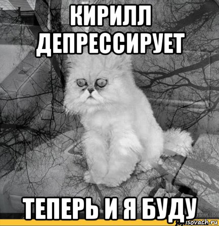 кирилл депрессирует теперь и я буду, Мем Кот депрессия